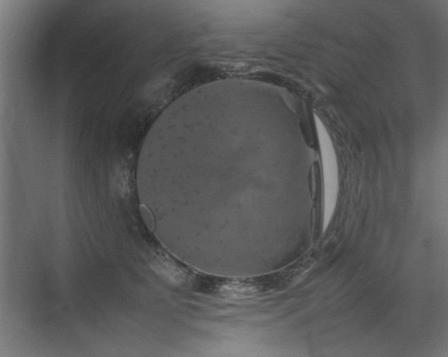X0000074030515200608211456