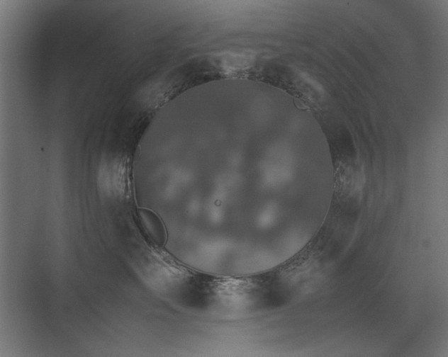 X0000074030527200608211455