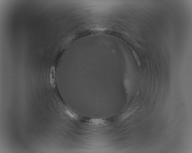 X0000074030528200608211455
