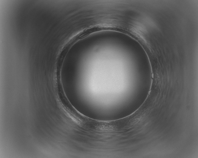 X0000074030535200608211455