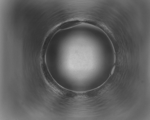 X0000074030536200608211455