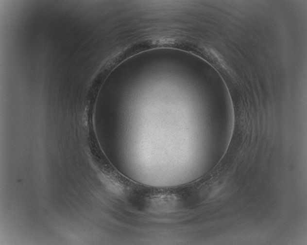 X0000074030543200608211455