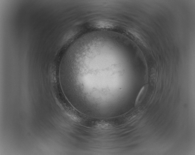 X0000074030547200608211455