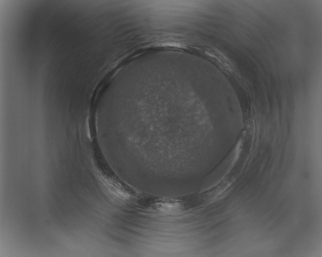 X0000074030552200608211455