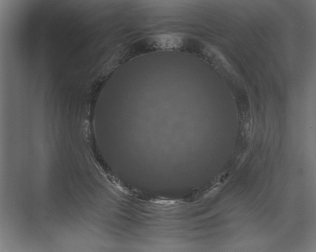 X0000074030553200608211455