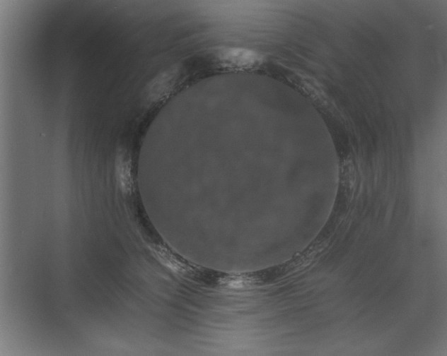 X0000074030564200608211455