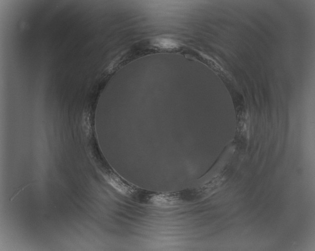 X0000074030568200608211455
