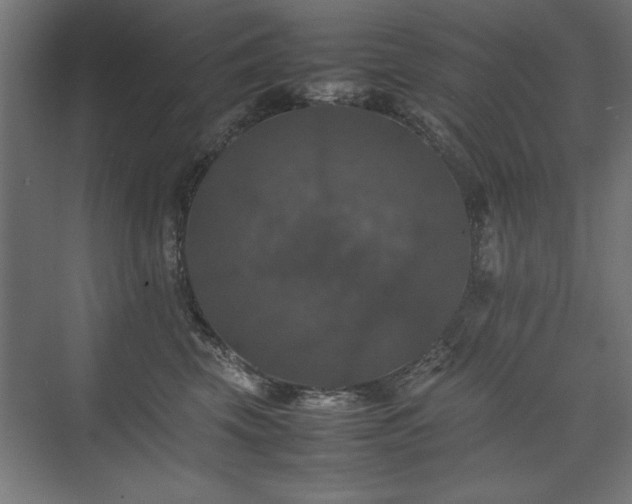 X0000074030569200608211455