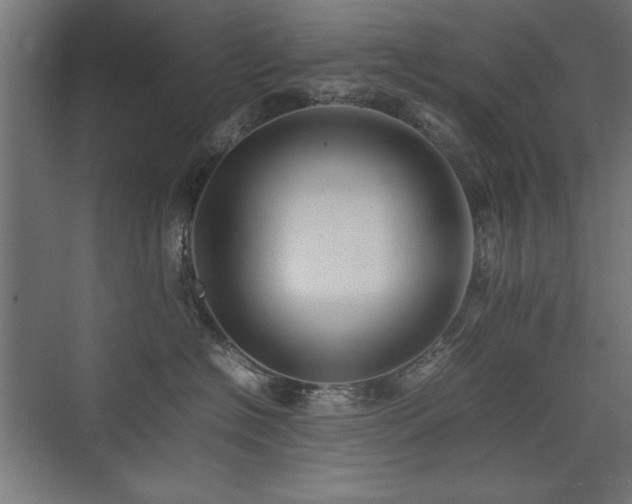 X0000074030574200608211455