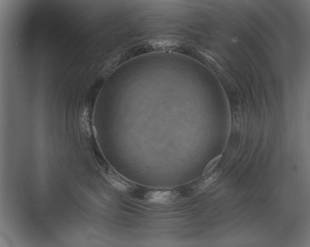 X0000074030575200608211455
