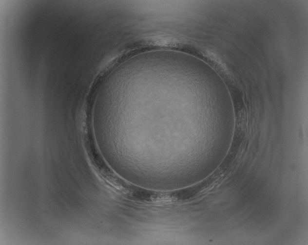 X0000074030587200608211454