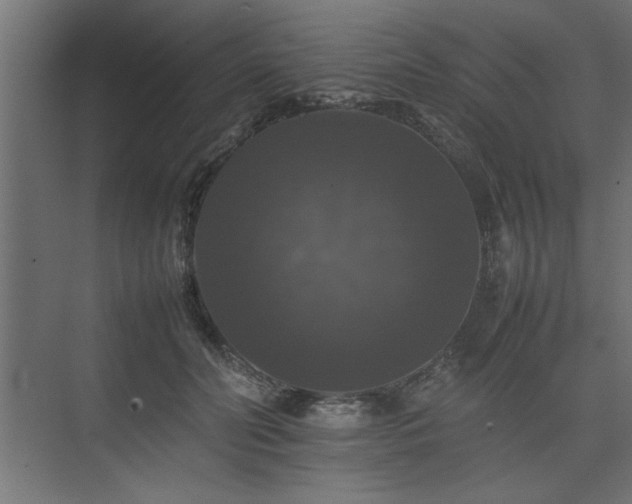 X0000074030606200608211454