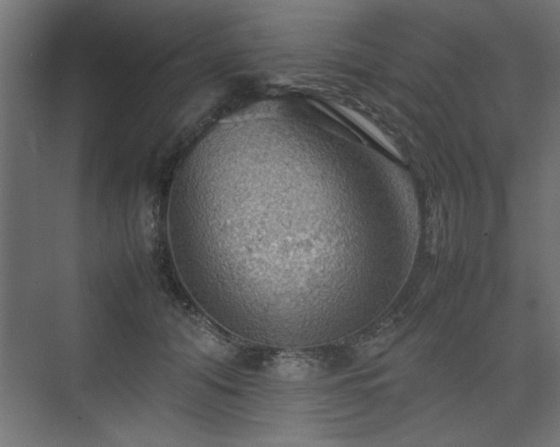 X0000074030608200608211454
