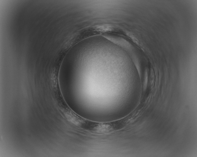 X0000074030609200608211454