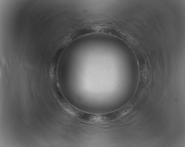 X0000074030611200608211454