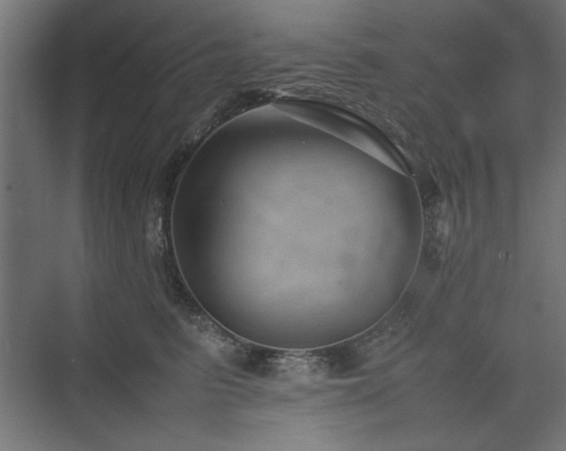 X0000074030615200608211454