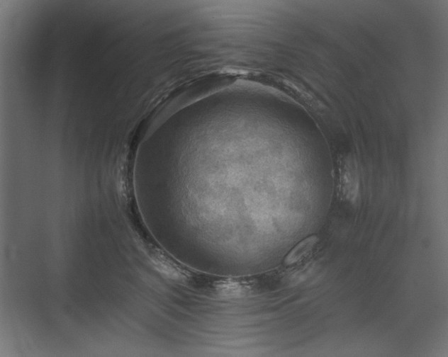 X0000074030616200608211454