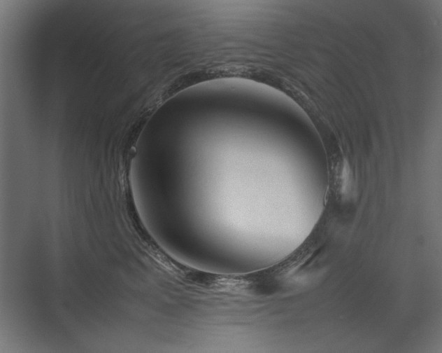 X0000074030617200608211454
