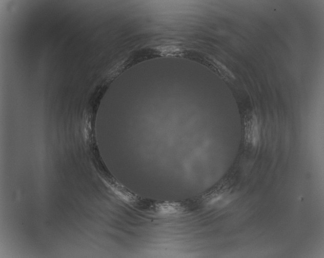 X0000074030618200608211454