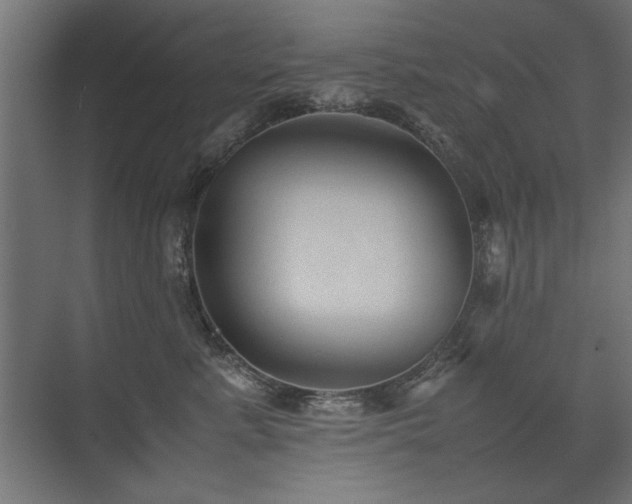 X0000074030619200608211454