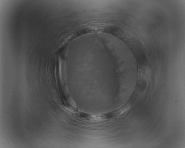 X0000074030623200608211454