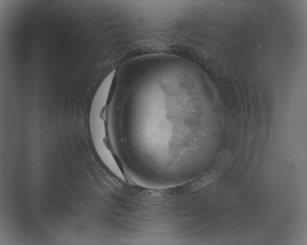 X0000074030624200608211454