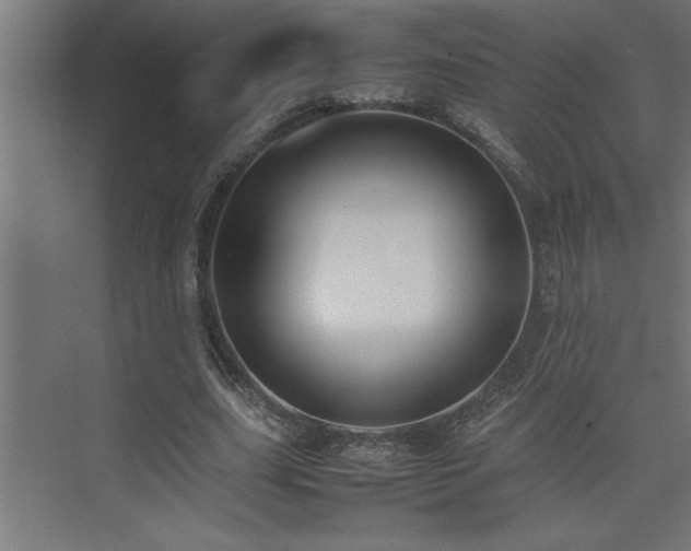 X0000074030631200608211453