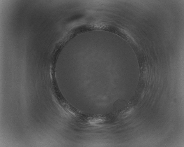 X0000074030643200608211453