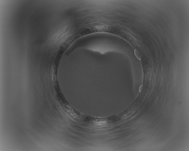 X0000074030651200608211453