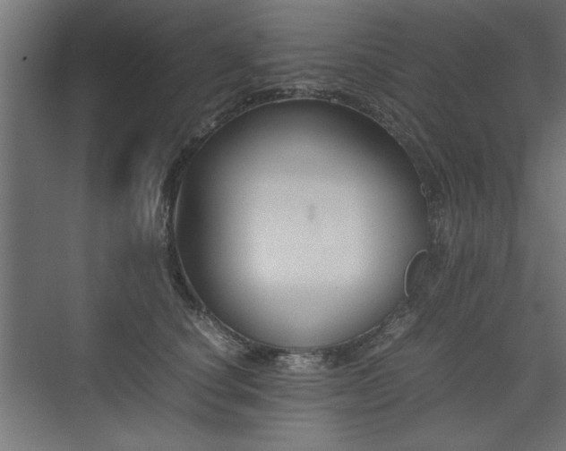 X0000074030660200608211454