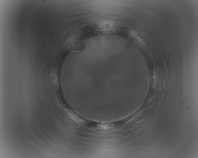 X0000074030662200608211454