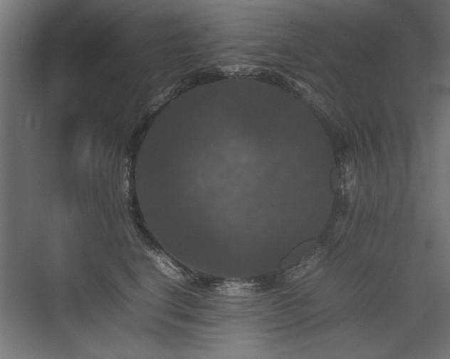 X0000074030664200608211454