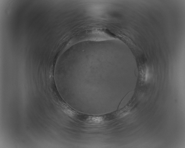 X0000074030665200608211454
