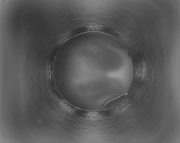 X0000074030666200608211454