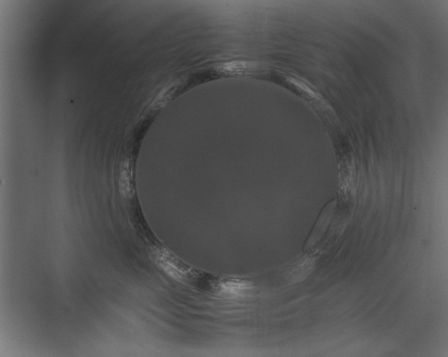 X0000074030669200608211454