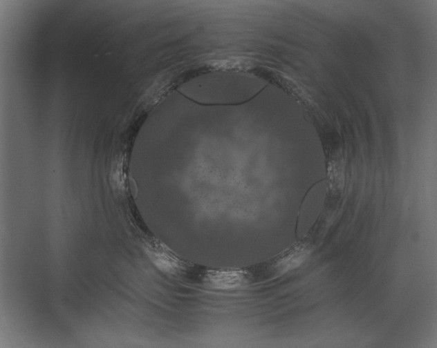 X0000074030671200608211454
