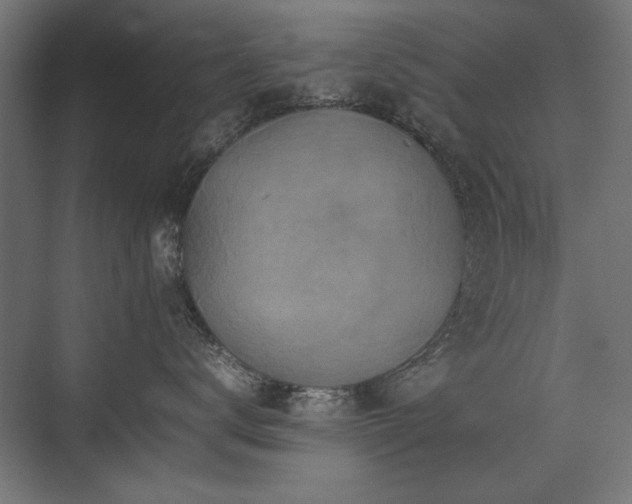 X0000074030672200608211454