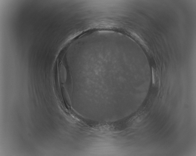 X0000074030675200608211453