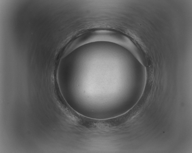 X0000074030681200608211453