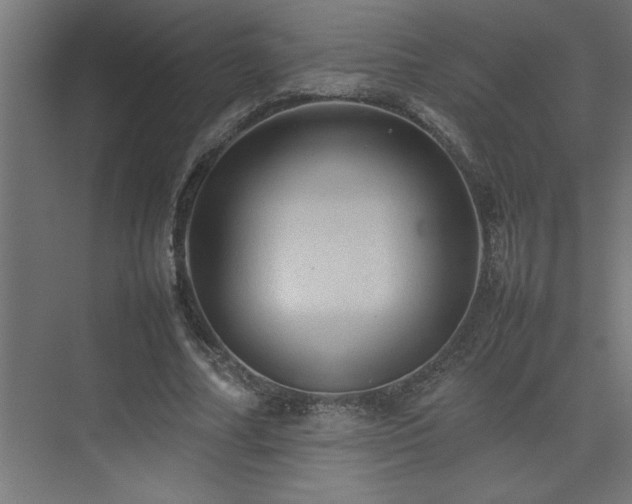 X0000074030682200608211453