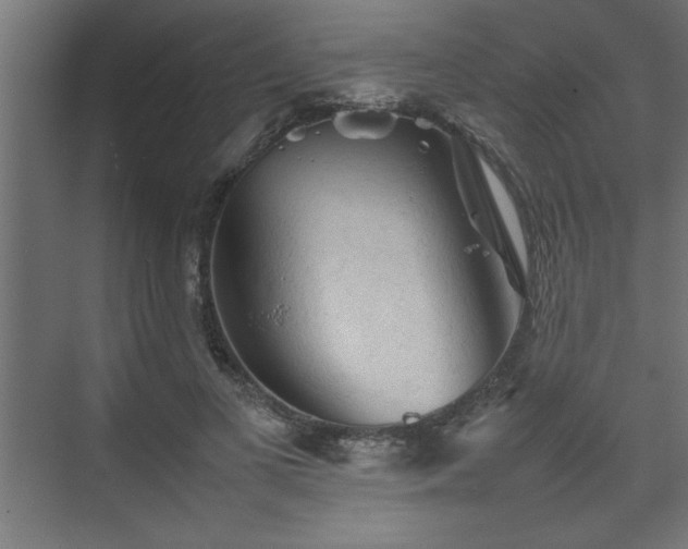 X0000074030693200608211453