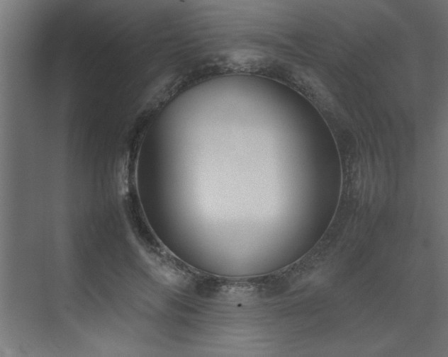 X0000074030694200608211453