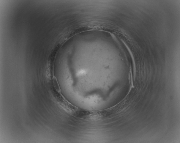 X0000074030696200608211453