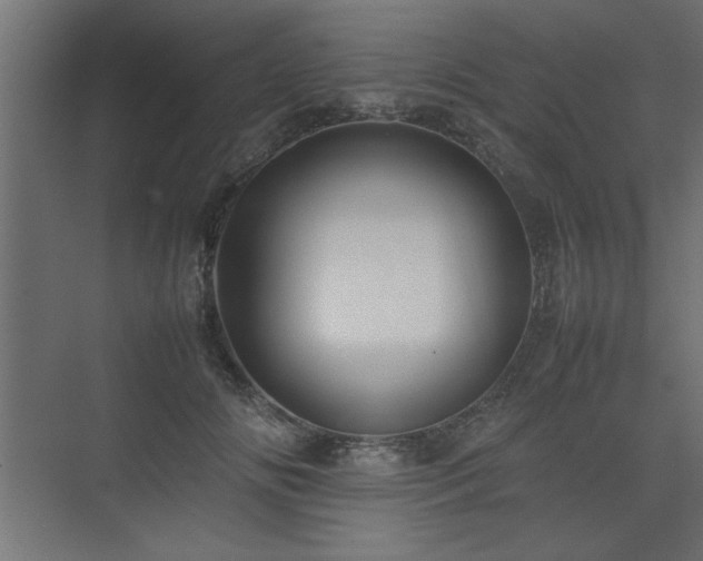 X0000074030702200608211453
