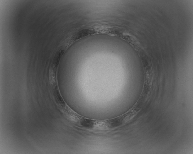 X0000074030705200608211452