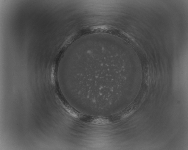 X0000074030708200608211452