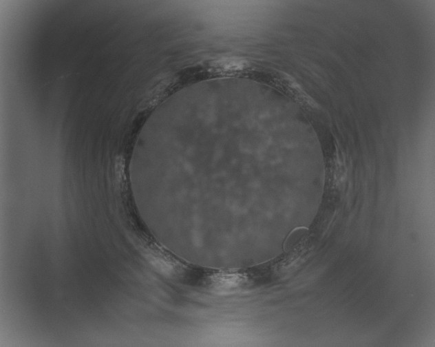 X0000074030711200608211452