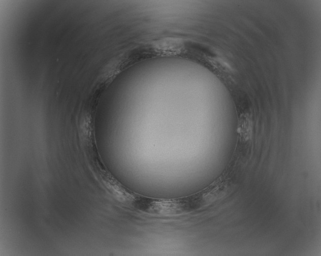 X0000074030713200608211452