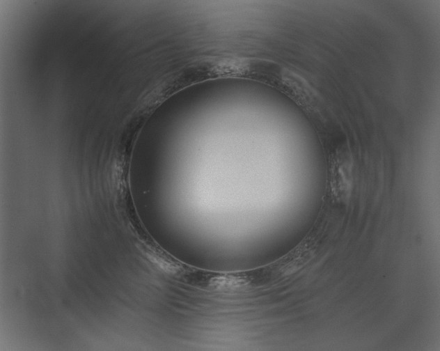 X0000074030714200608211452