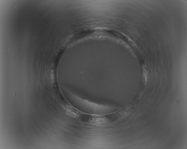 X0000074030716200608211452